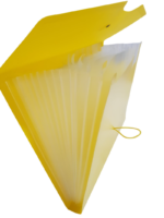 Bigpoint Körüklü Dosya 13 Cepli Lastikli Neon Sarı - Görsel 2