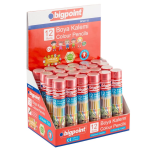 Bigpoint Kuru Boya Kalemi 12 Renk Metal Tüp 33mm - Görsel 2