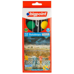 Bigpoint Suluboya 12 Li Büyük Boy - Görsel 2